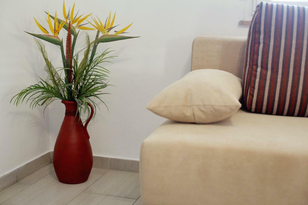 Apartment Palma ビビニェ エクステリア 写真